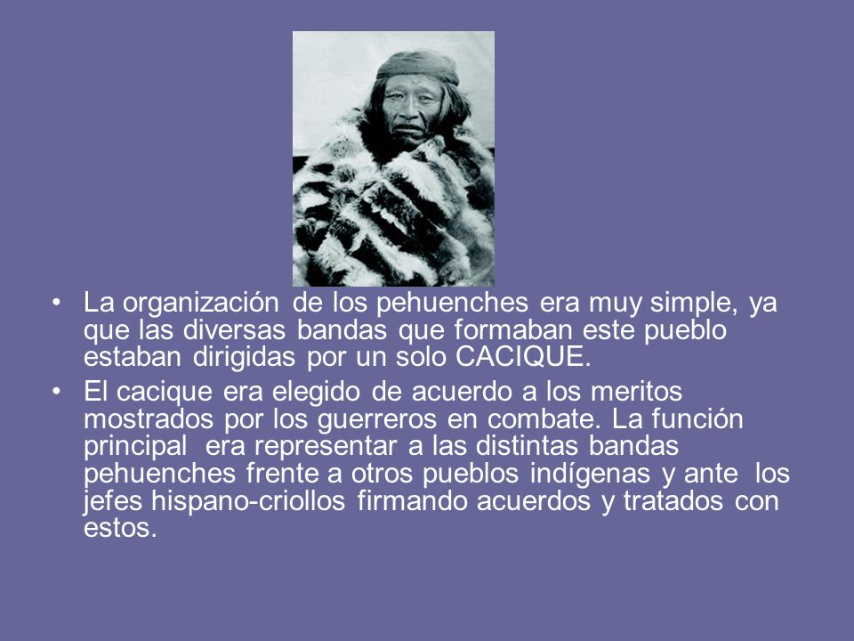 La organización de los pehuenches era muy simple, ya que las diversas bandas que formaban este pueblo estaban dirigidas por un solo CACIQUE.