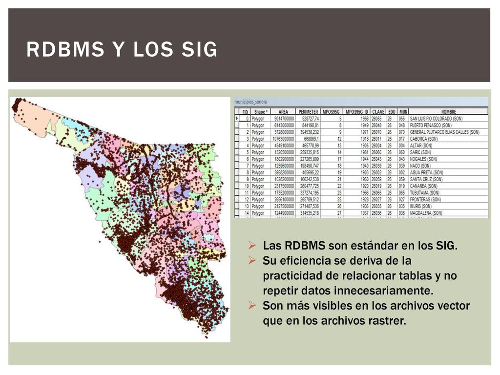 RDBMS y los sig Las RDBMS son estándar en los SIG.