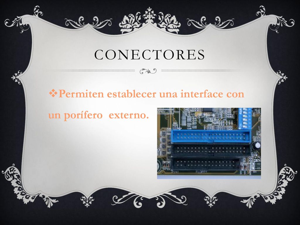 Conectores Permiten establecer una interface con un porífero externo.