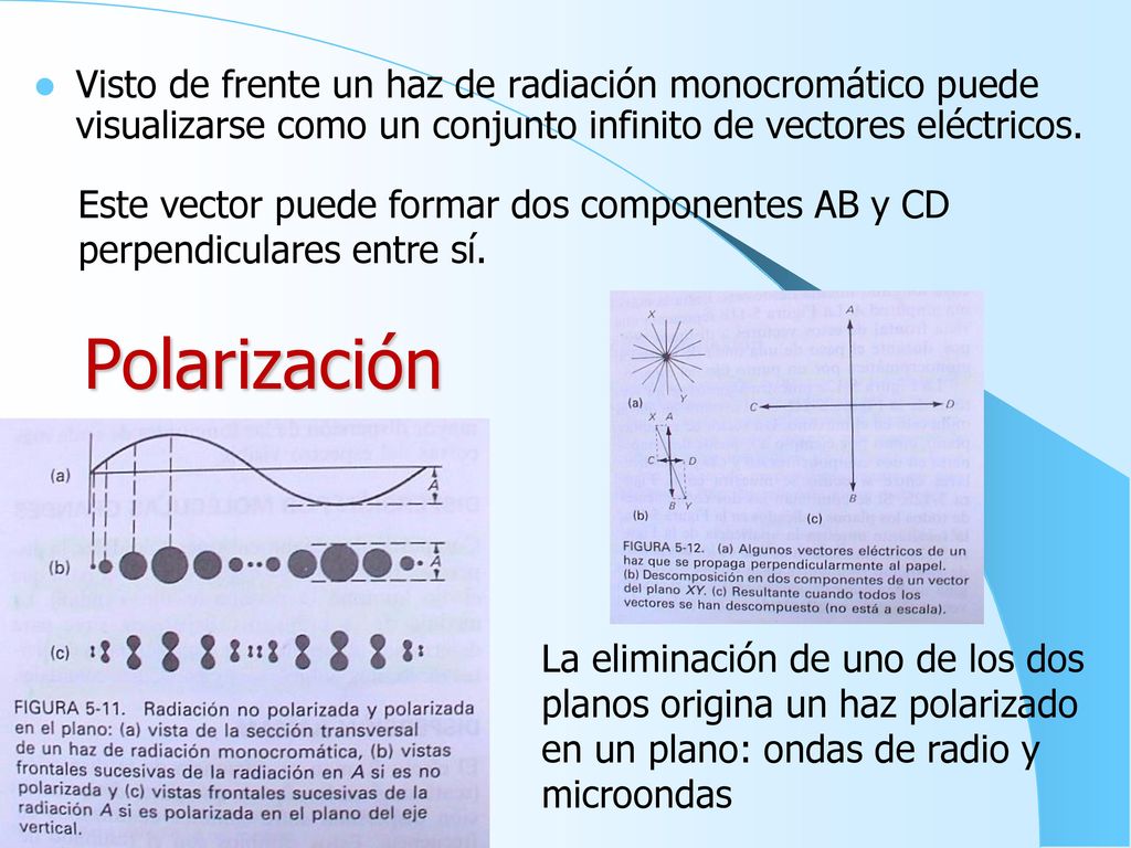 Visto de frente un haz de radiación monocromático puede visualizarse como un conjunto infinito de vectores eléctricos.