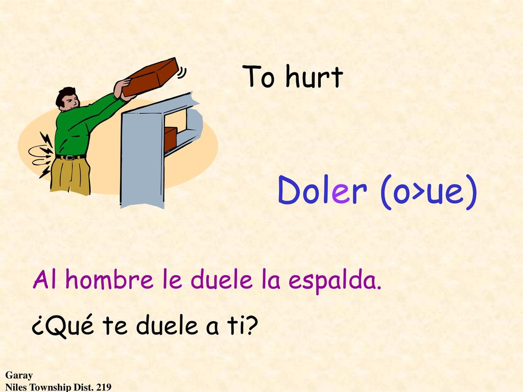 Doler (o>ue) To hurt Al hombre le duele la espalda.