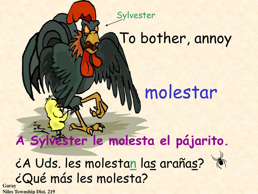 molestar To bother, annoy A Sylvester le molesta el pájarito.