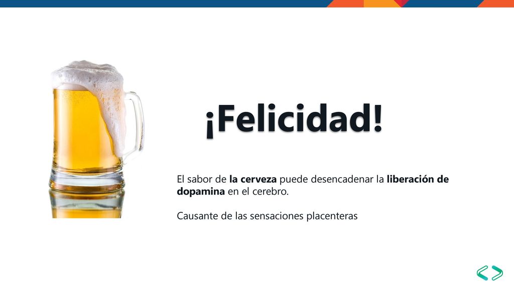 ¡Felicidad! El sabor de la cerveza puede desencadenar la liberación de dopamina en el cerebro. Causante de las sensaciones placenteras.
