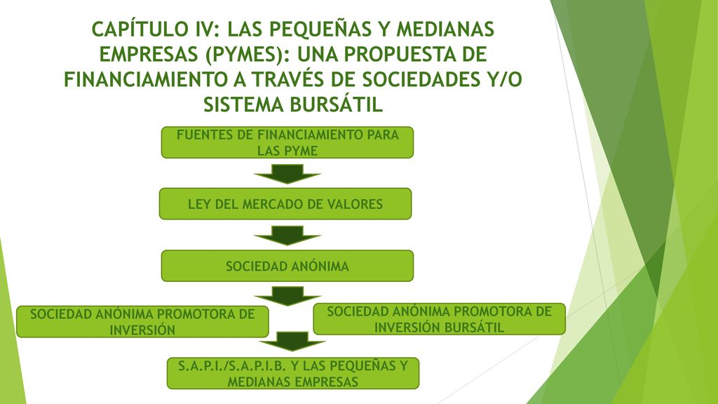 CAPÍTULO IV: LAS PEQUEÑAS Y MEDIANAS EMPRESAS (PYMES): UNA PROPUESTA DE FINANCIAMIENTO A TRAVÉS DE SOCIEDADES Y/O SISTEMA BURSÁTIL