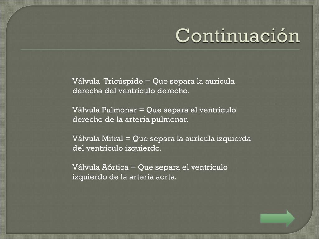 Continuación Válvula Tricúspide = Que separa la aurícula derecha del ventrículo derecho.