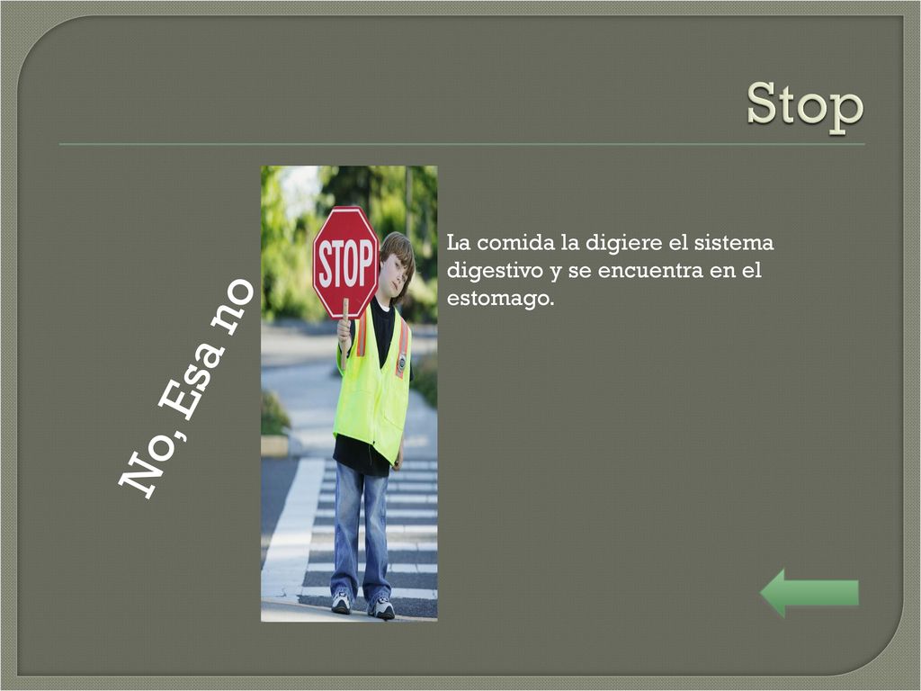 Stop La comida la digiere el sistema digestivo y se encuentra en el estomago. No, Esa no