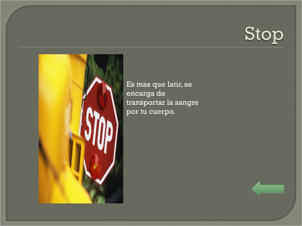 Stop Es mas que latir, se encarga de transportar la sangre por tu cuerpo.