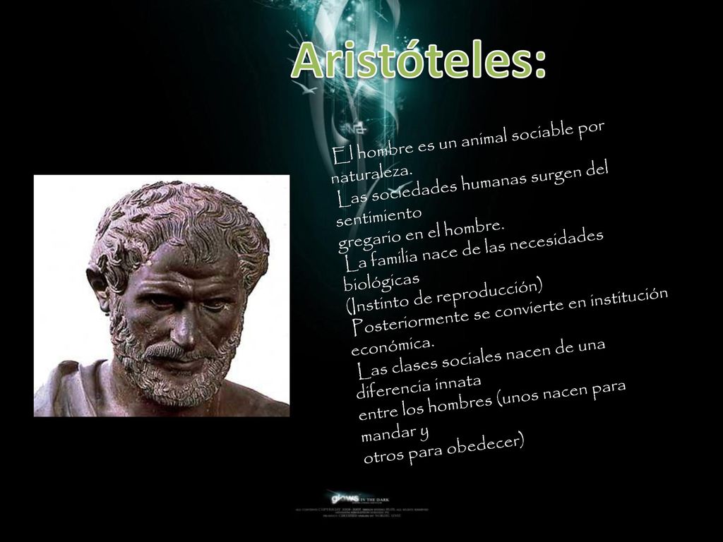Aristóteles: El hombre es un animal sociable por naturaleza.