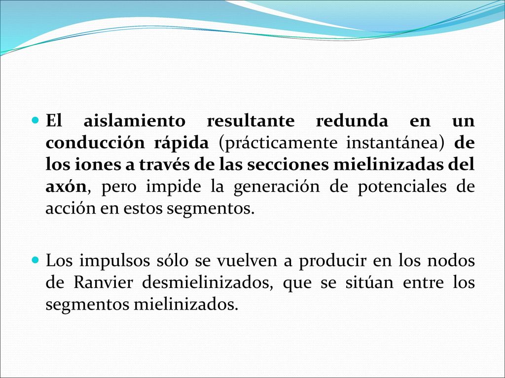 El aislamiento resultante redunda en un conducción rápida (prácticamente instantánea) de los iones a través de las secciones mielinizadas del axón, pero impide la generación de potenciales de acción en estos segmentos.