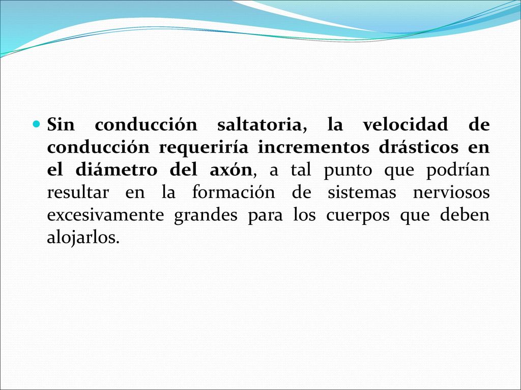 Sin conducción saltatoria, la velocidad de conducción requeriría incrementos drásticos en el diámetro del axón, a tal punto que podrían resultar en la formación de sistemas nerviosos excesivamente grandes para los cuerpos que deben alojarlos.