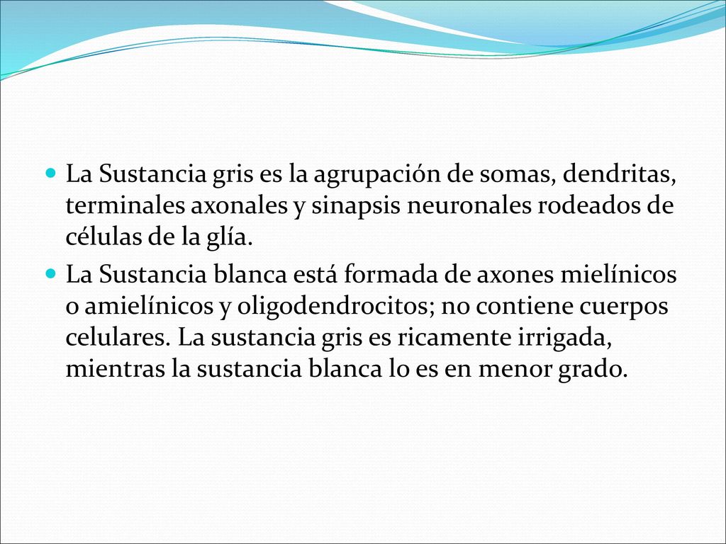 La Sustancia gris es la agrupación de somas, dendritas, terminales axonales y sinapsis neuronales rodeados de células de la glía.