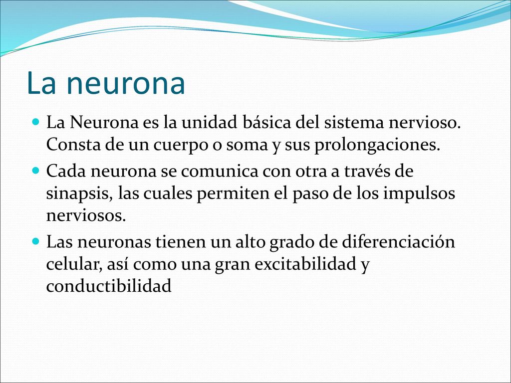 La neurona La Neurona es la unidad básica del sistema nervioso. Consta de un cuerpo o soma y sus prolongaciones.