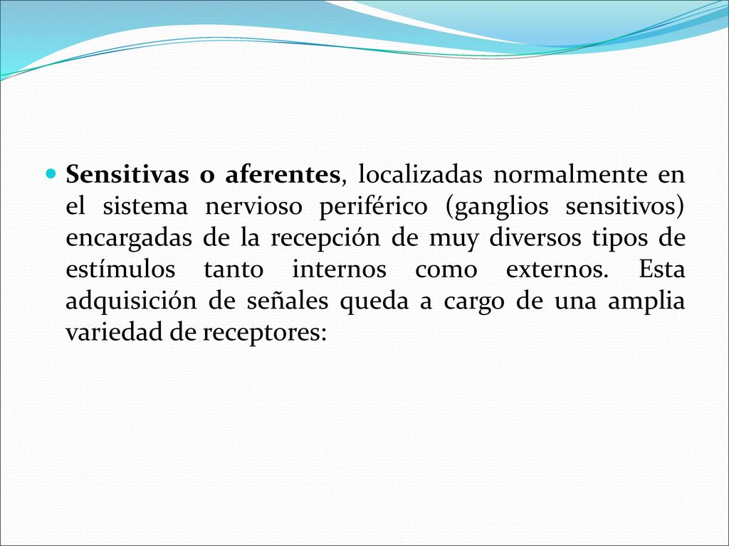 Sensitivas o aferentes, localizadas normalmente en el sistema nervioso periférico (ganglios sensitivos) encargadas de la recepción de muy diversos tipos de estímulos tanto internos como externos.