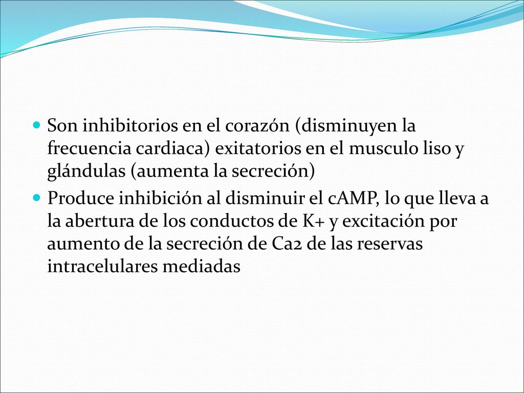 Son inhibitorios en el corazón (disminuyen la frecuencia cardiaca) exitatorios en el musculo liso y glándulas (aumenta la secreción)