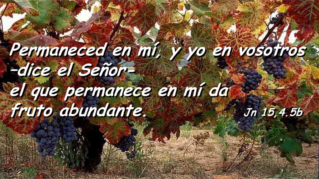 Permaneced en mí, y yo en vosotros –dice el Señor-