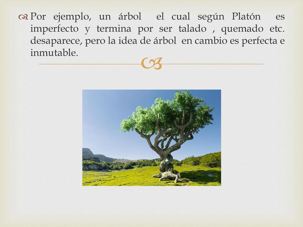 Por ejemplo, un árbol el cual según Platón es imperfecto y termina por ser talado , quemado etc.