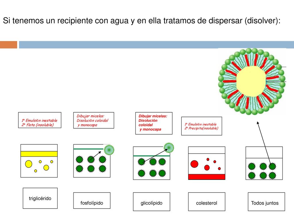 Si tenemos un recipiente con agua y en ella tratamos de dispersar (disolver):