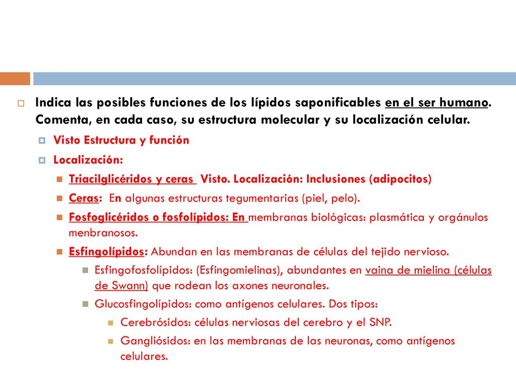 Indica las posibles funciones de los lípidos saponificables en el ser humano. Comenta, en cada caso, su estructura molecular y su localización celular.