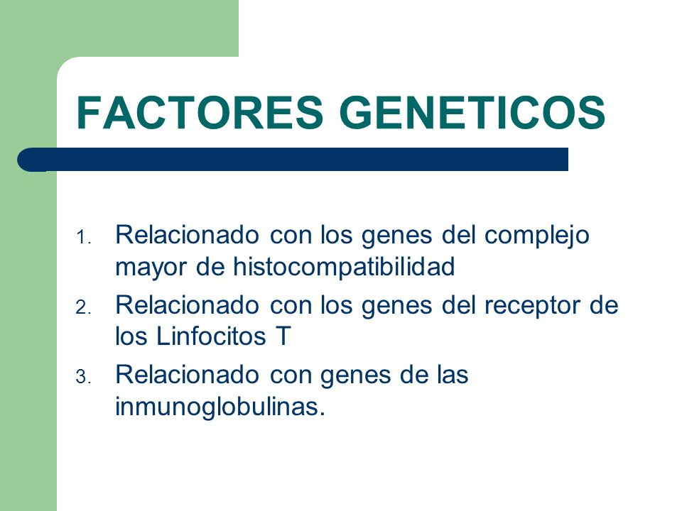 FACTORES GENETICOS Relacionado con los genes del complejo mayor de histocompatibilidad. Relacionado con los genes del receptor de los Linfocitos T.
