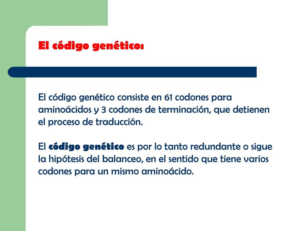 El código genético: El código genético consiste en 61 codones para aminoácidos y 3 codones de terminación, que detienen el proceso de traducción.