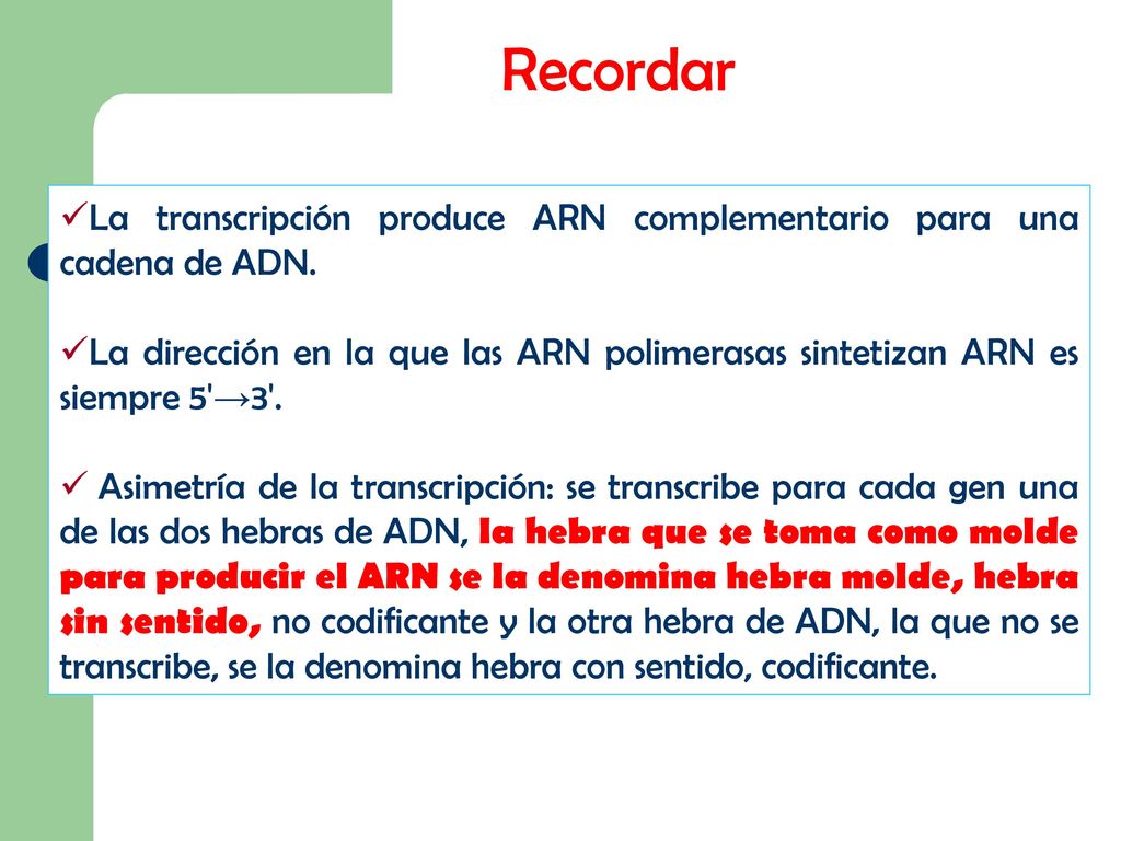 Recordar La transcripción produce ARN complementario para una cadena de ADN.