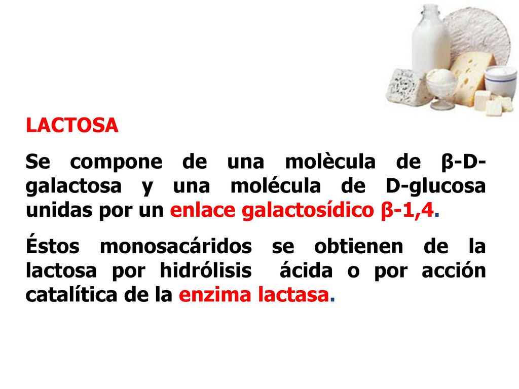 LACTOSA Se compone de una molècula de β-D-galactosa y una molécula de D-glucosa unidas por un enlace galactosídico β-1,4.