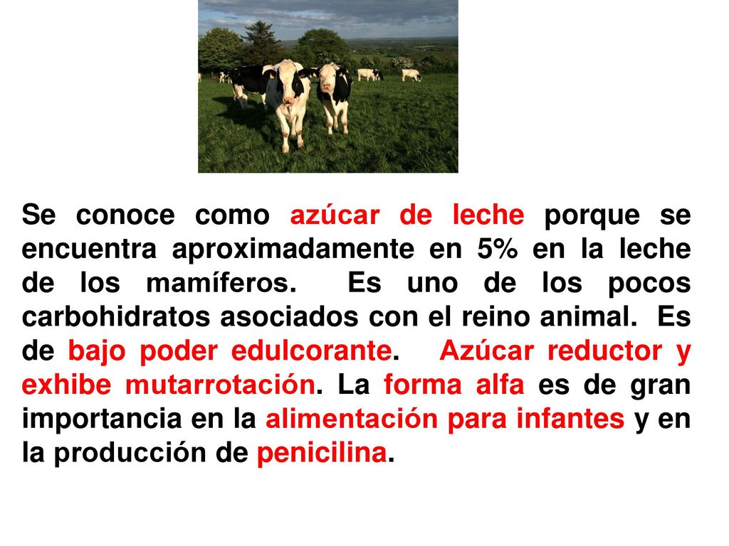 Se conoce como azúcar de leche porque se encuentra aproximadamente en 5% en la leche de los mamíferos.