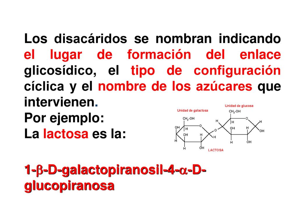 Los disacáridos se nombran indicando el lugar de formación del enlace glicosídico, el tipo de configuración cíclica y el nombre de los azúcares que intervienen.