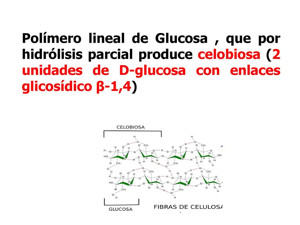 Polímero lineal de Glucosa , que por hidrólisis parcial produce celobiosa (2 unidades de D-glucosa con enlaces glicosídico β-1,4)