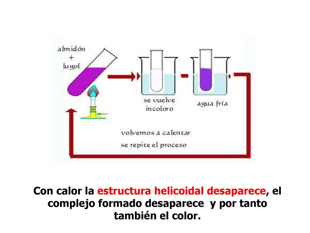Con calor la estructura helicoidal desaparece, el complejo formado desaparece y por tanto también el color.