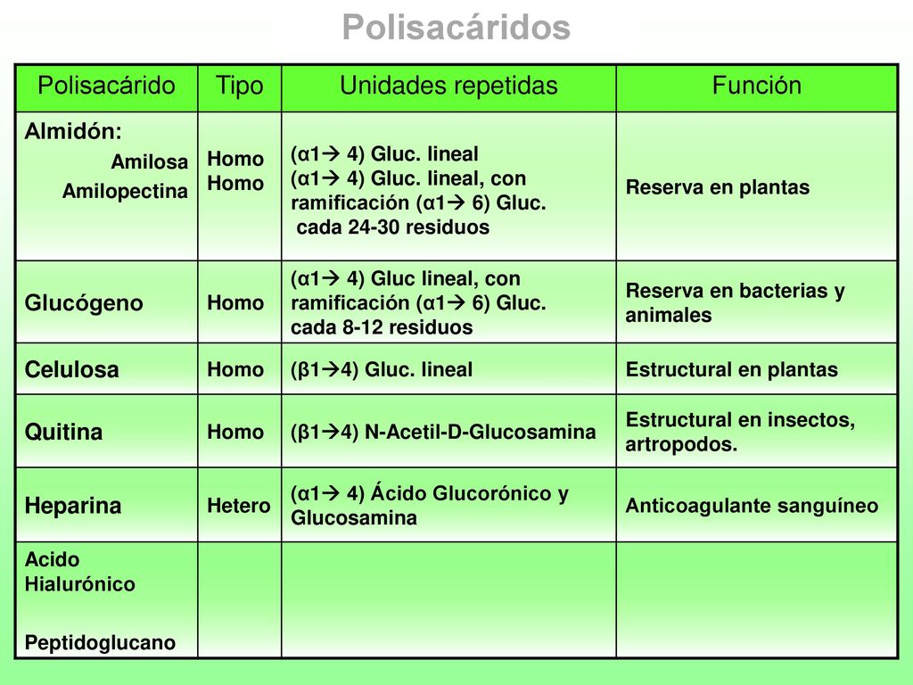 Polisacáridos Polisacárido Tipo Unidades repetidas Función Almidón:
