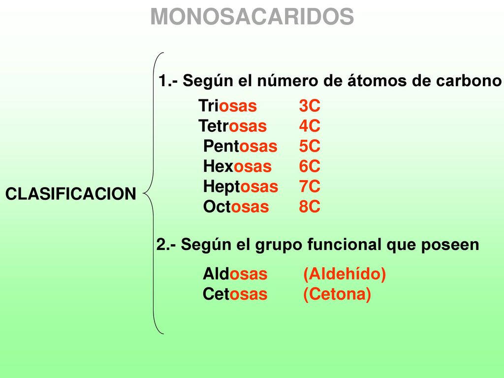 MONOSACARIDOS 1.- Según el número de átomos de carbono Triosas 3C
