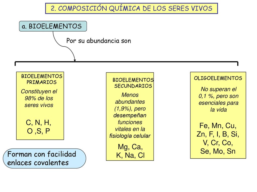Fe, Mn, Cu, Zn, F, I, B, Si, V, Cr, Co, Se, Mo, Sn