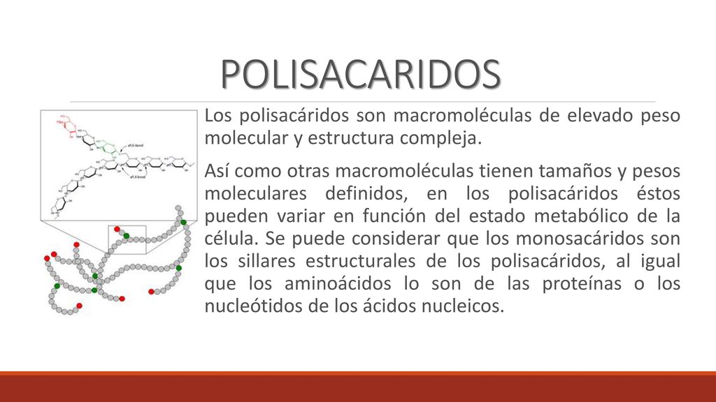 POLISACARIDOS Los polisacáridos son macromoléculas de elevado peso molecular y estructura compleja.