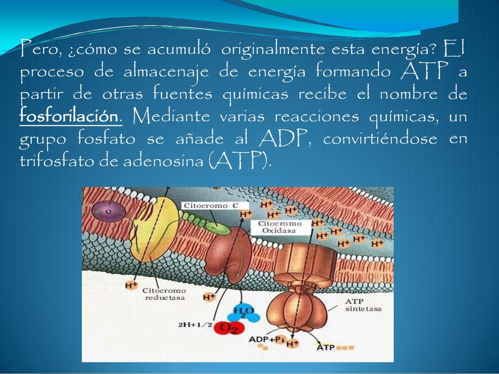 originalmente esta energía El proceso de almacenaje de energía