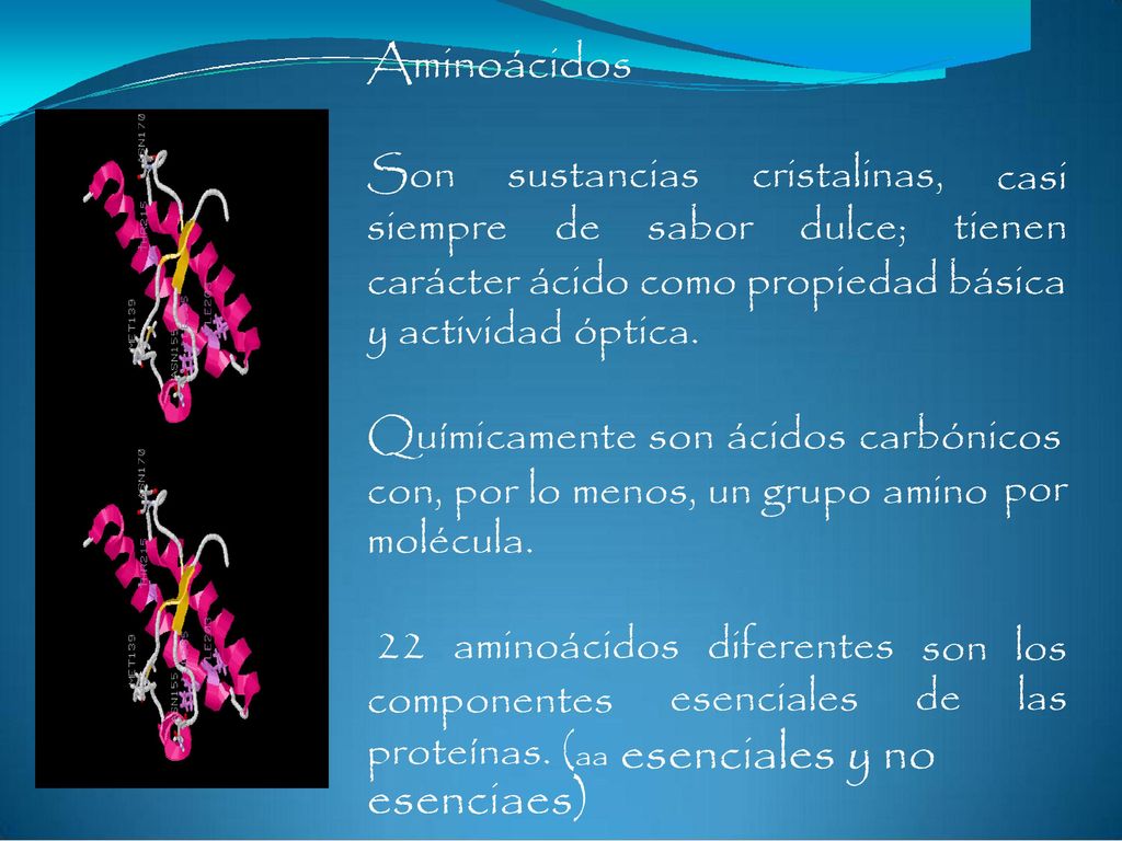 Aminoácidos Son sustancias cristalinas, casi tienen siempre de sabor