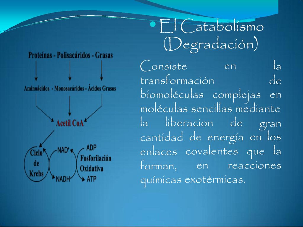 (Degradación)  El Catabolismo Consiste transformación en la de en
