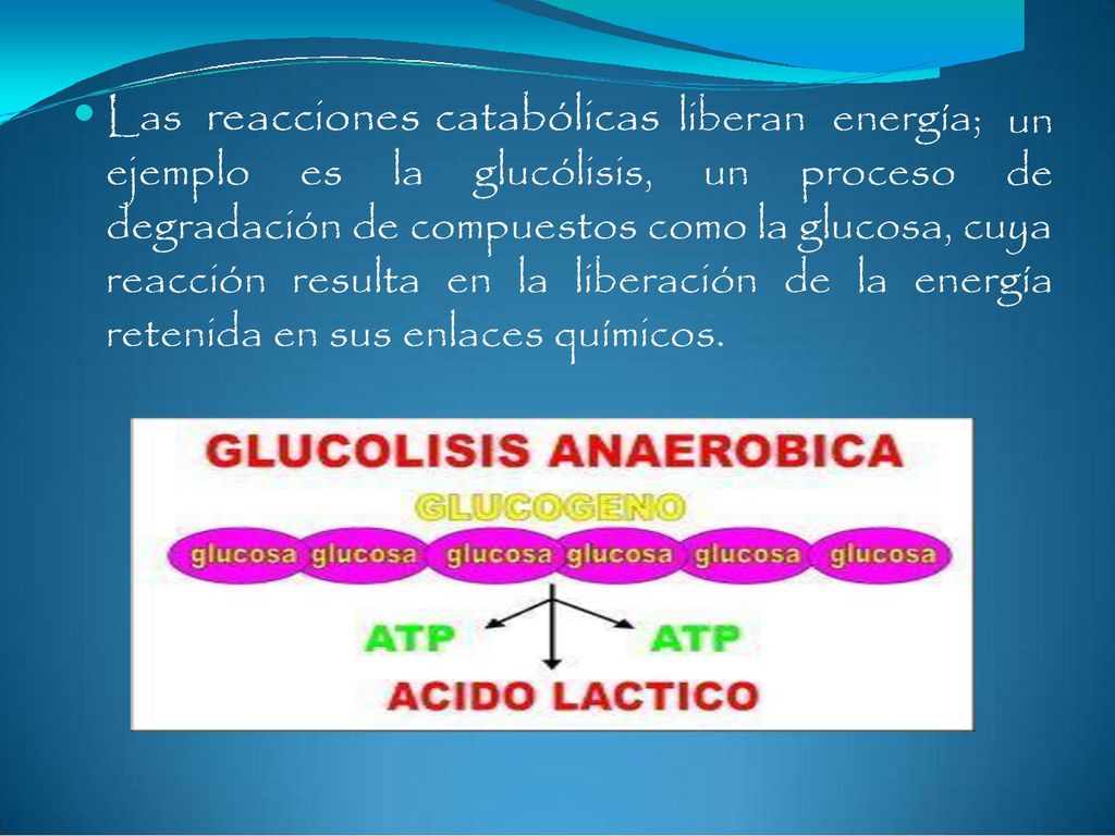 degradación de compuestos como la glucosa, cuya reacción resulta en la