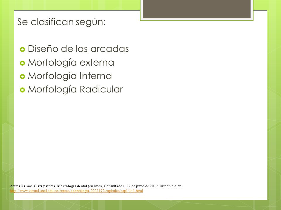 Se clasifican según: Diseño de las arcadas Morfología externa