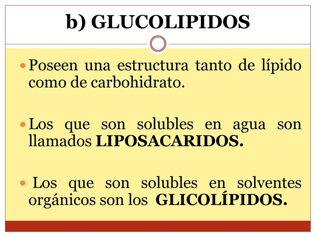 b) GLUCOLIPIDOS Poseen una estructura tanto de lípido como de carbohidrato. Los que son solubles en agua son llamados LIPOSACARIDOS.