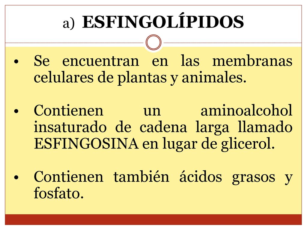 Se encuentran en las membranas celulares de plantas y animales.