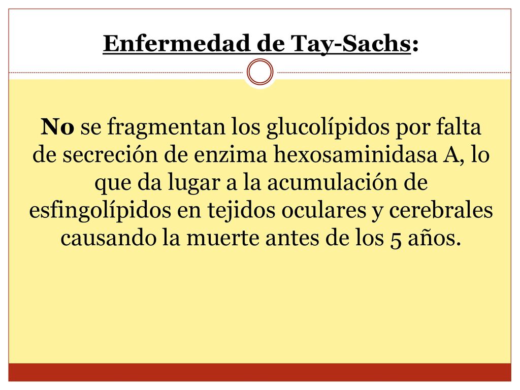 Enfermedad de Tay-Sachs: No se fragmentan los glucolípidos por falta de secreción de enzima hexosaminidasa A, lo que da lugar a la acumulación de esfingolípidos en tejidos oculares y cerebrales causando la muerte antes de los 5 años.
