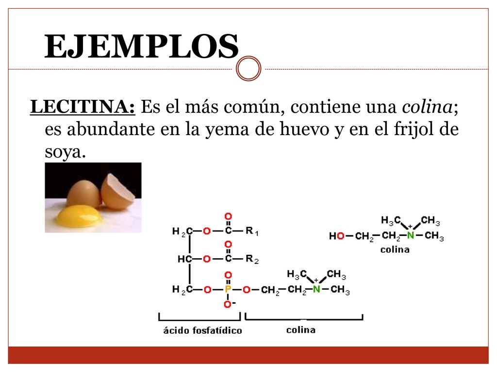 EJEMPLOS LECITINA: Es el más común, contiene una colina; es abundante en la yema de huevo y en el frijol de soya.