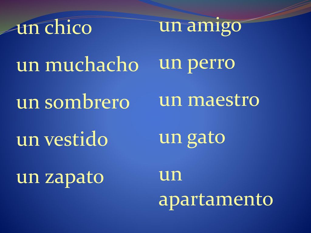 un amigo un perro. un maestro. un gato. un apartamento. un chico. un muchacho. un sombrero. un vestido.