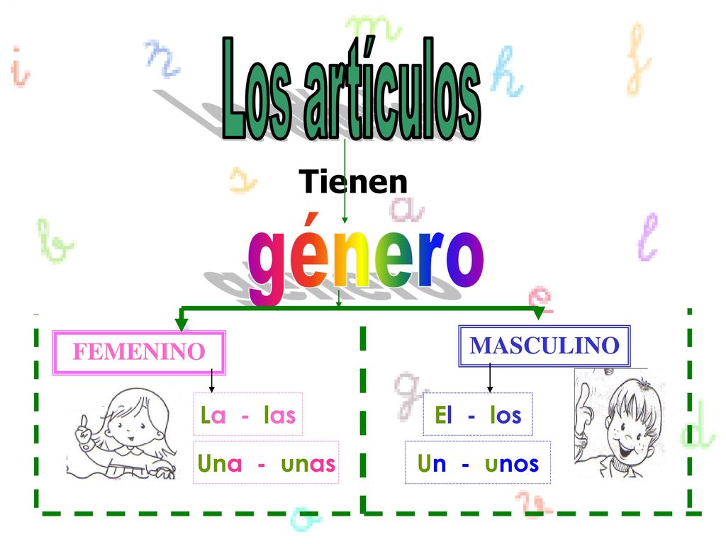 Los artículos género Tienen MASCULINO FEMENINO La - las El - los