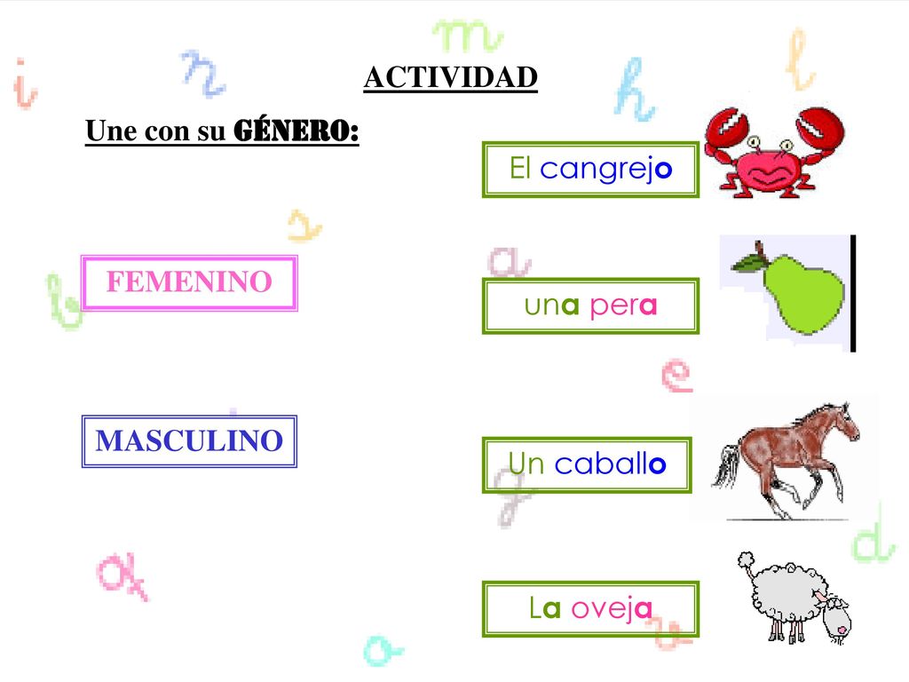 ACTIVIDAD Une con su Género: El cangrejo FEMENINO una pera MASCULINO Un caballo La oveja