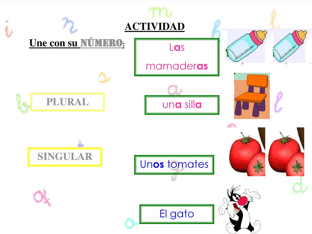 ACTIVIDAD Une con su número: Las mamaderas PLURAL una silla SINGULAR Unos tomates El gato