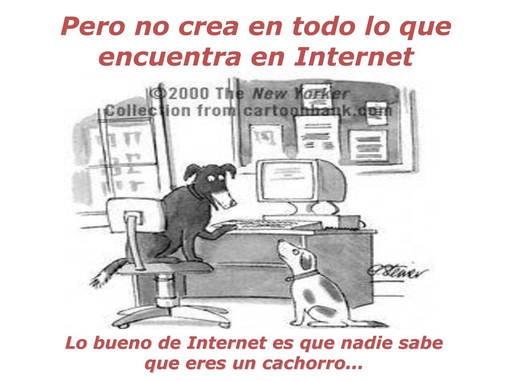 Pero no crea en todo lo que encuentra en Internet