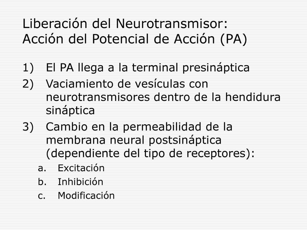 Liberación del Neurotransmisor: Acción del Potencial de Acción (PA)