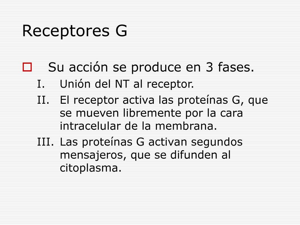 Receptores G Su acción se produce en 3 fases.